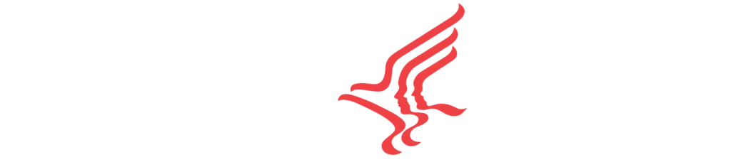 Logo da São Luís EAD, instituição de ensino a distância para cursos de pós-graduação na área da educação